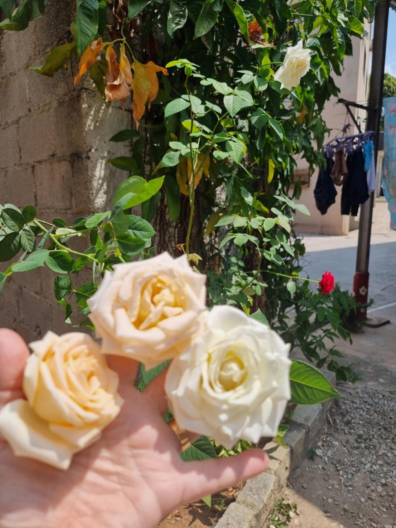 Pousada E Hospedaria Regina Cachoeiro de Itapemirim Luaran gambar